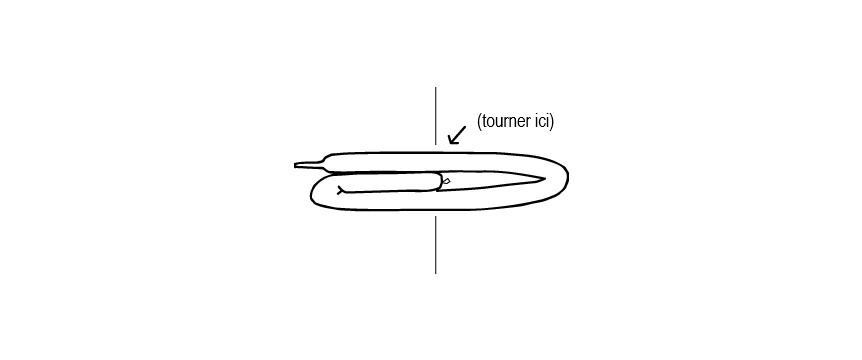 Twisting a balloon swan...